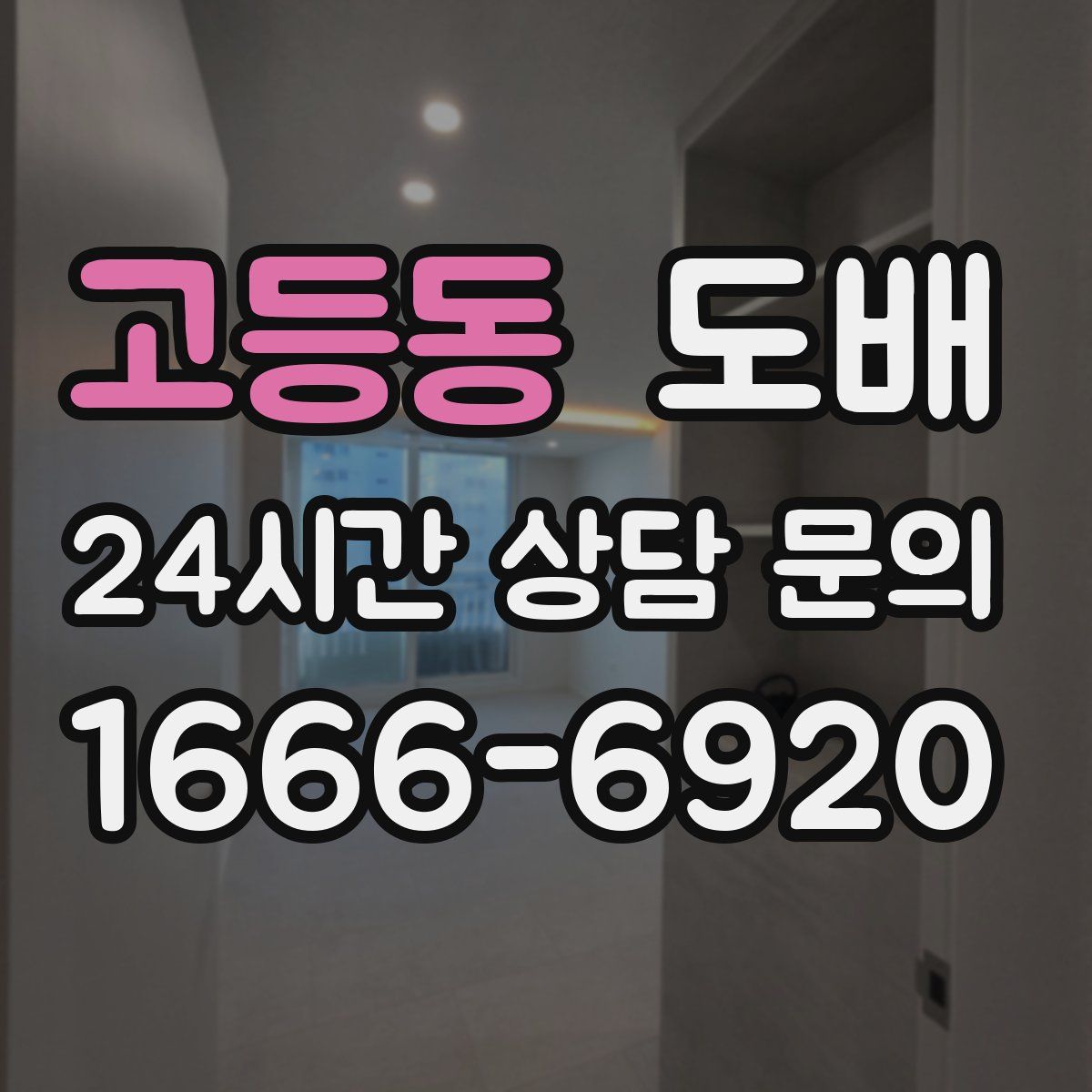 고등동 도배