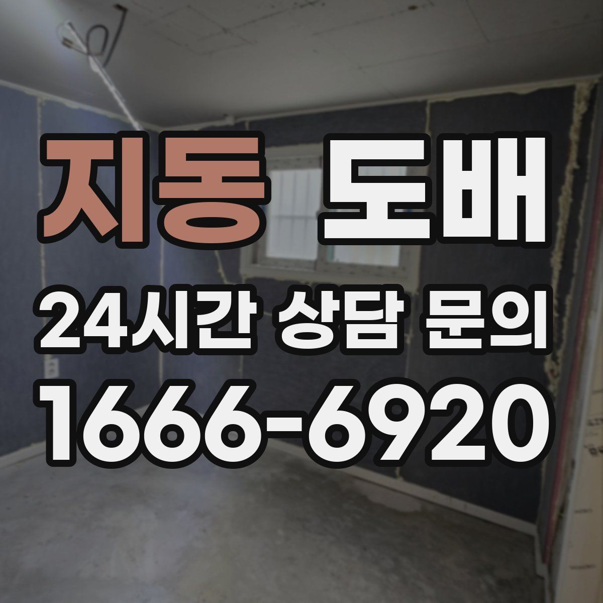 지동 도배