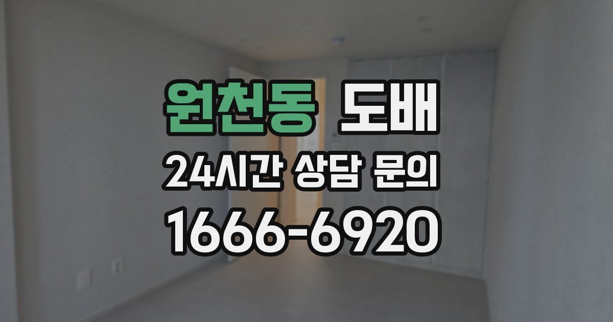 원천동 도배