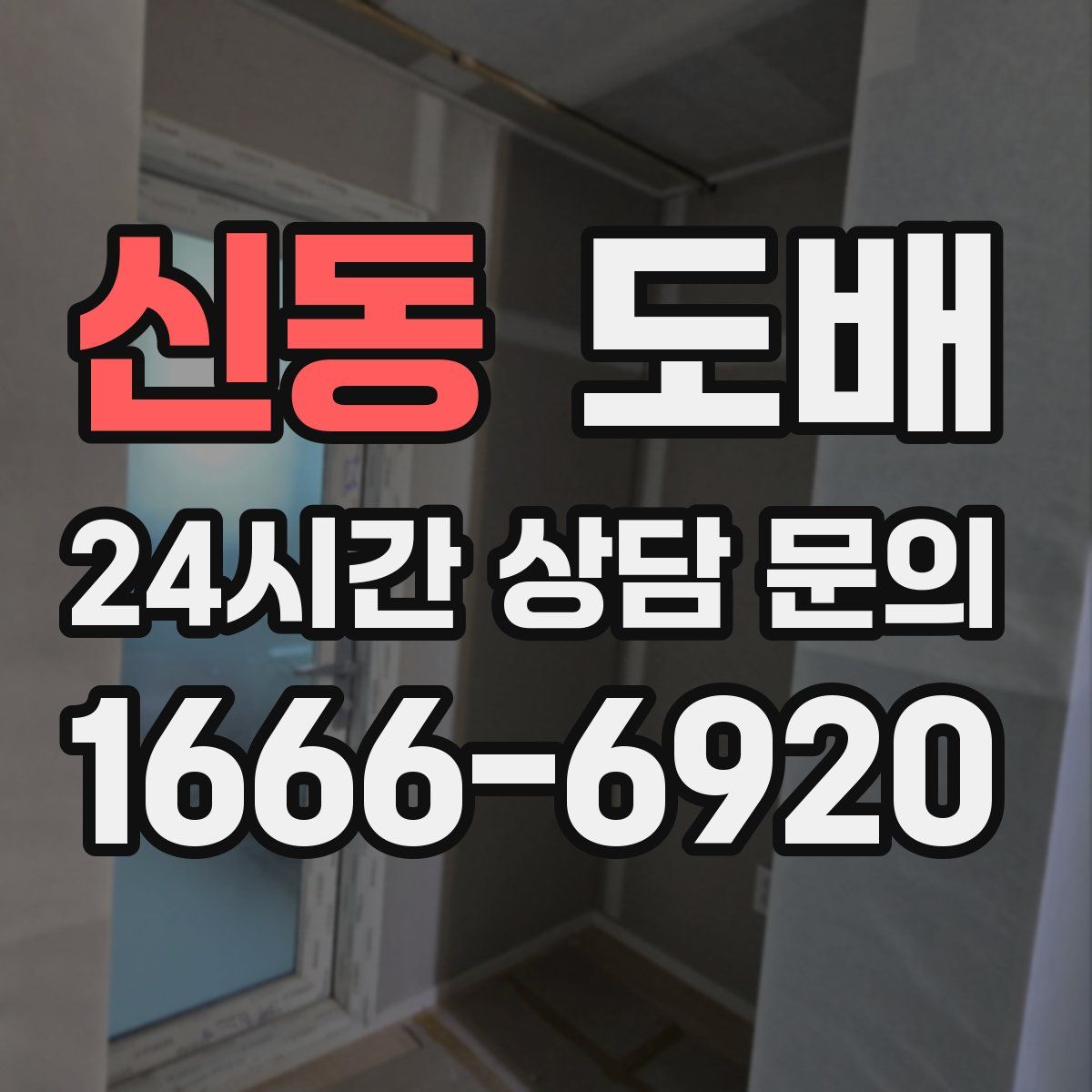 신동 도배