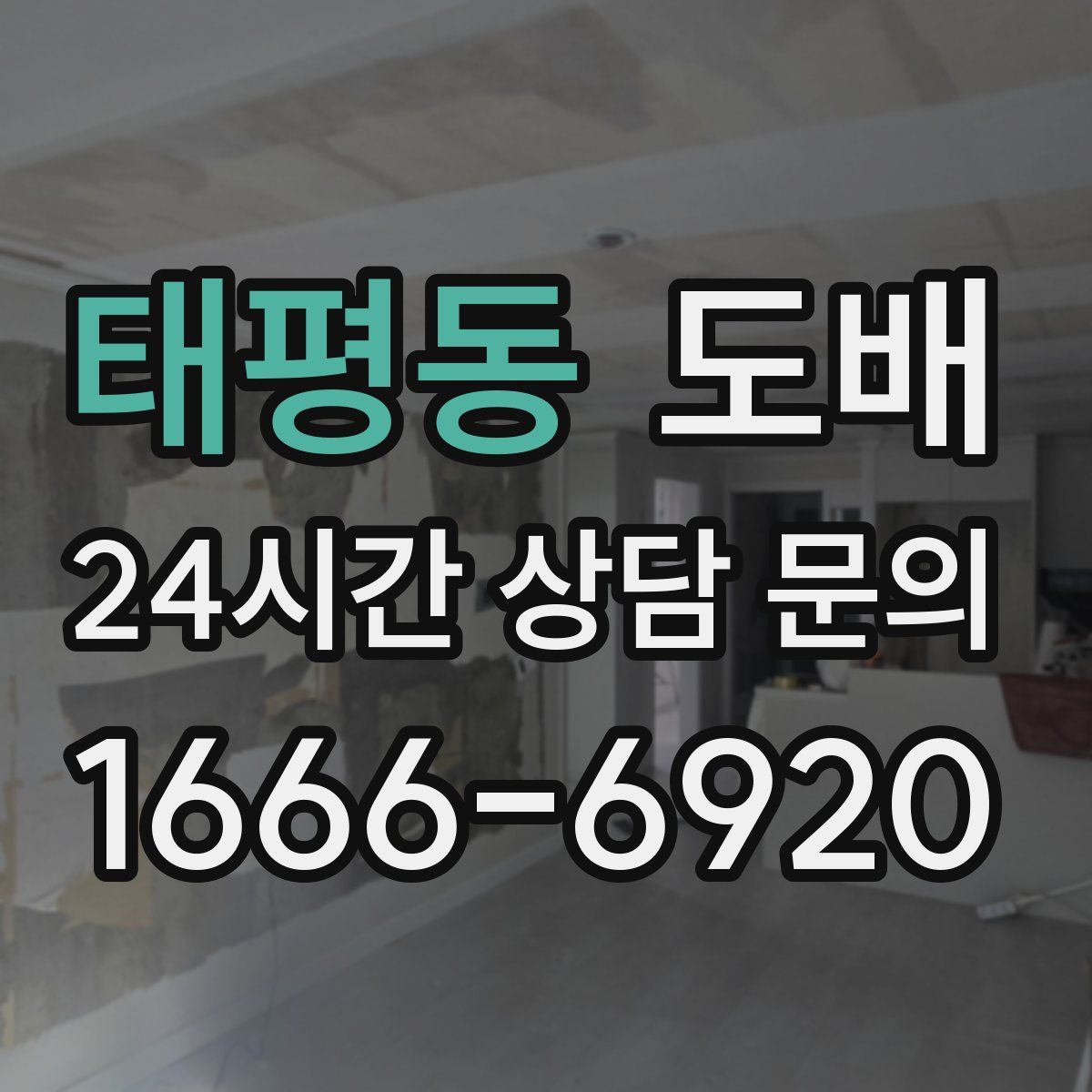 태평동 도배