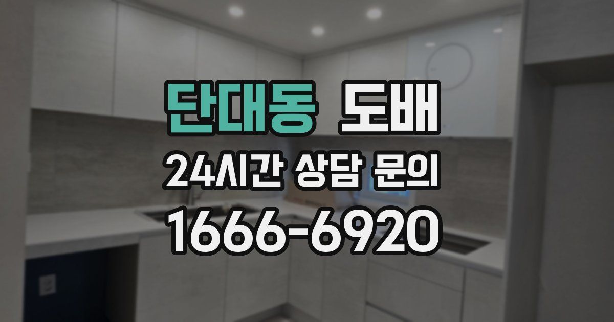 단대동 도배