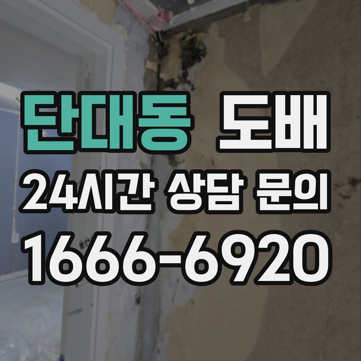 단대동 도배