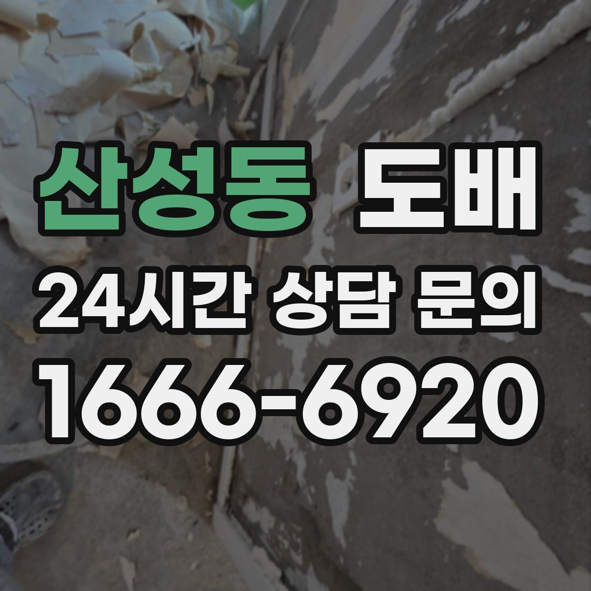 산성동 도배