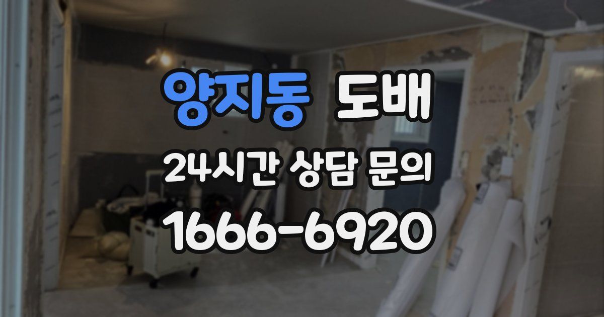 양지동 도배
