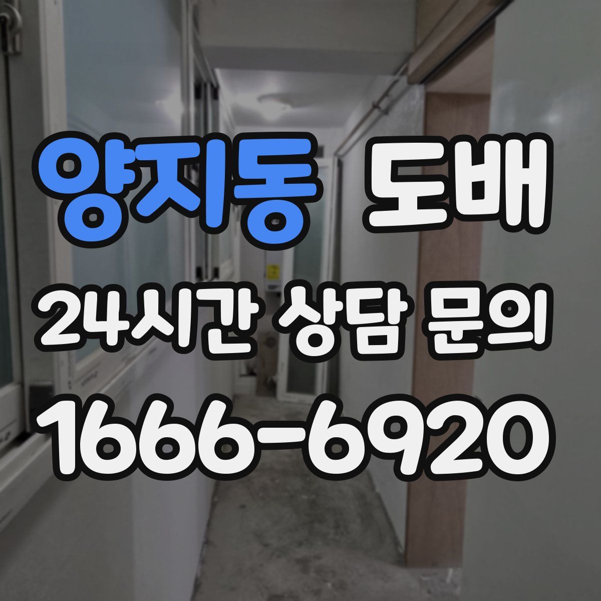양지동 도배