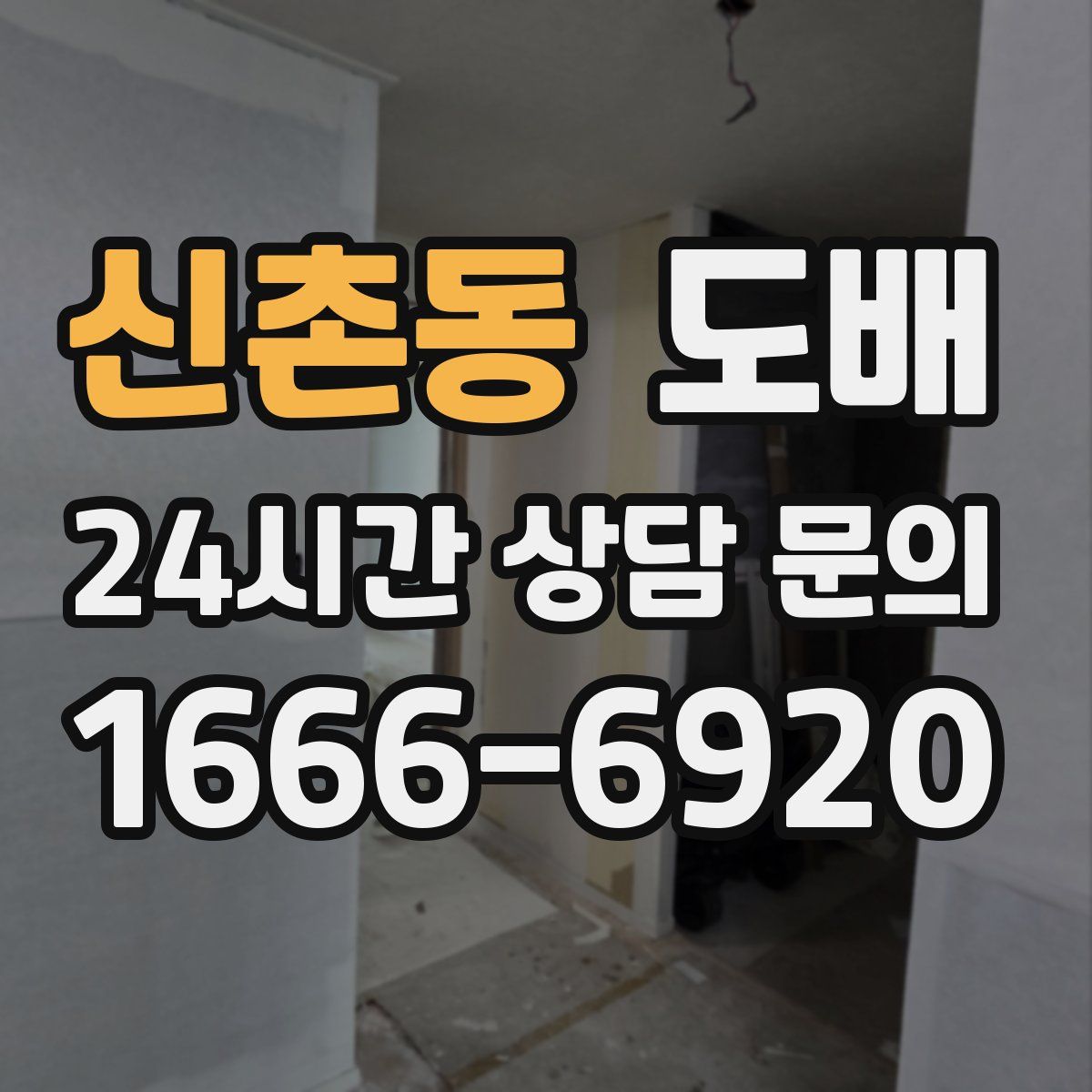 신촌동 도배