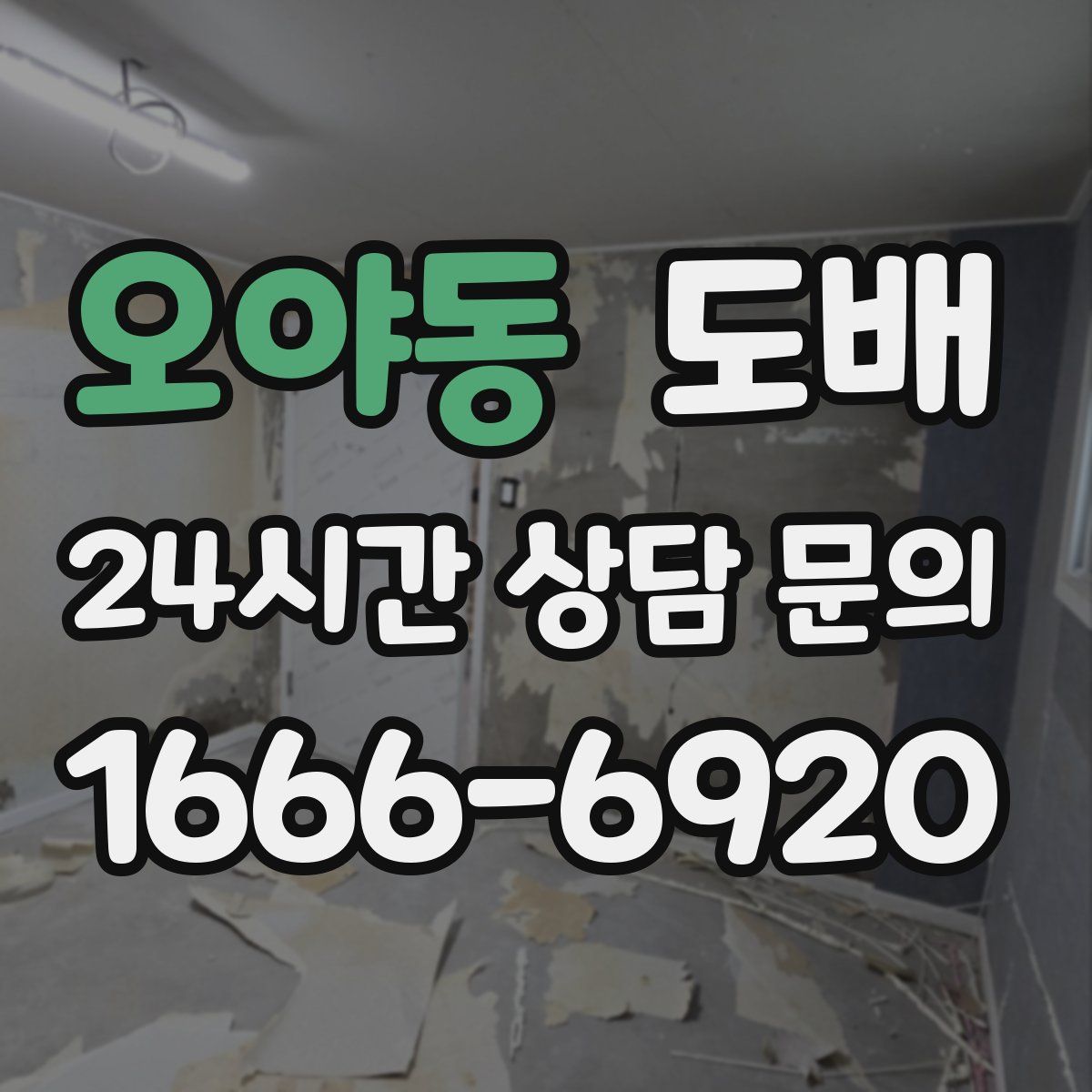 오야동 도배