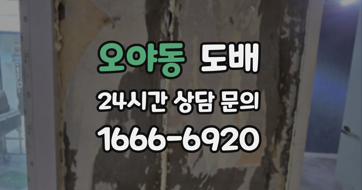 오야동 도배