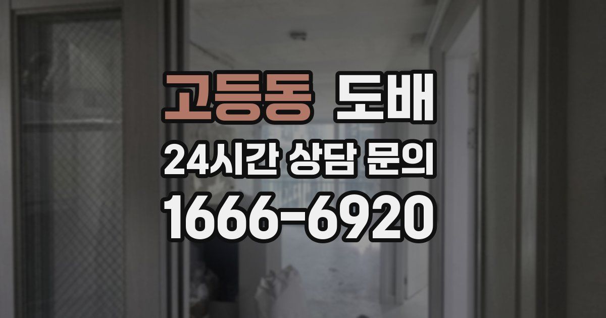 고등동 도배