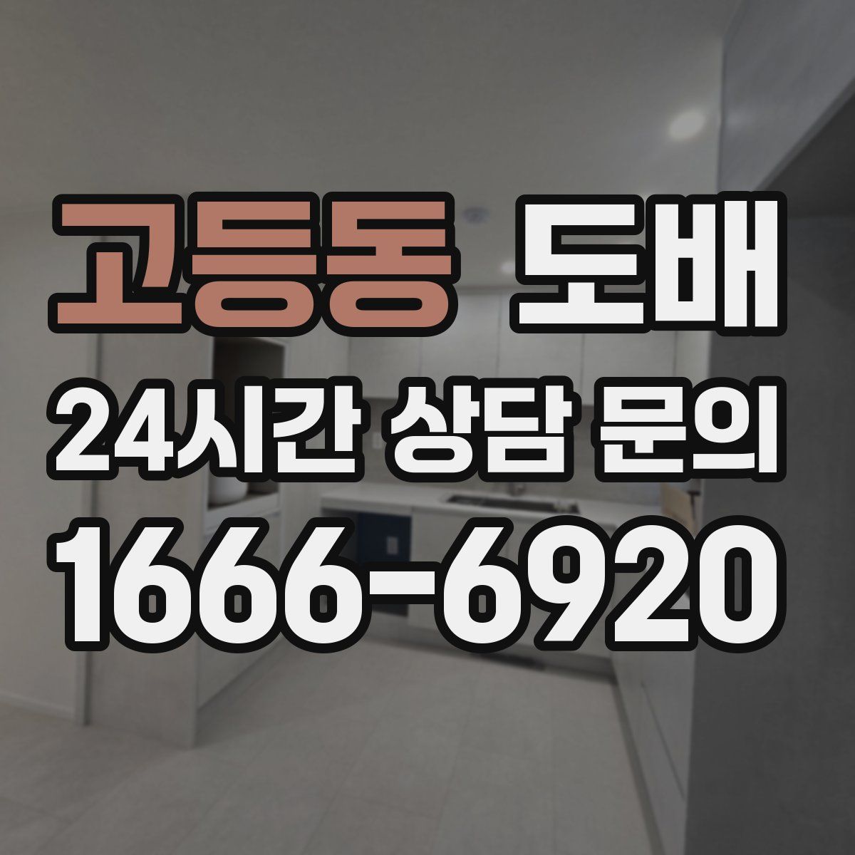 고등동 도배