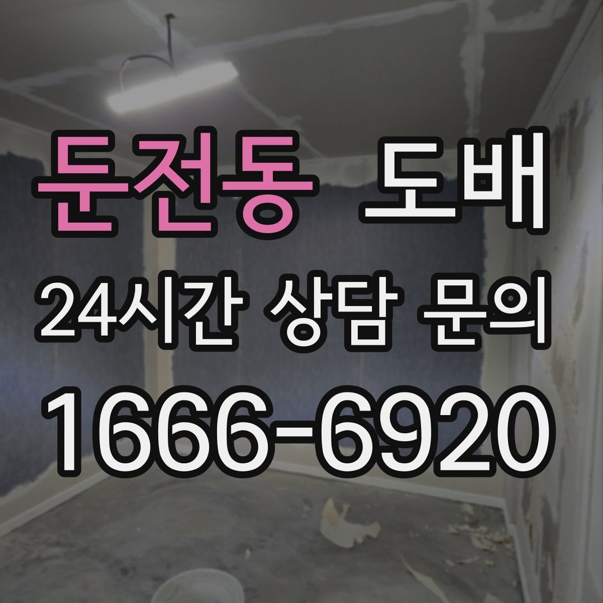 둔전동 도배