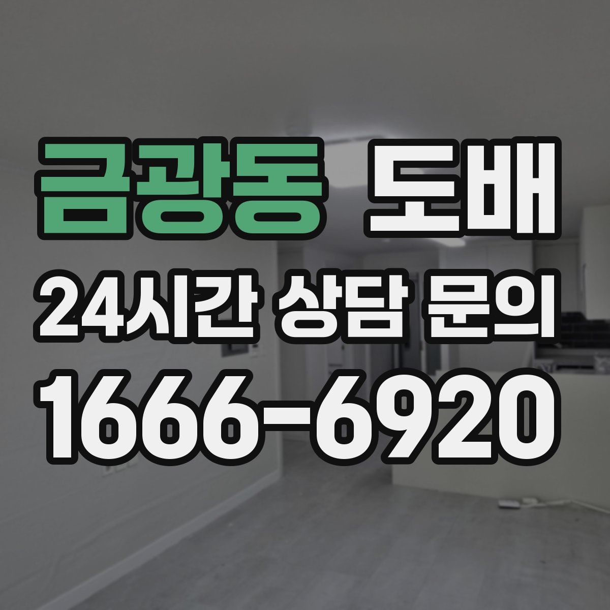 금광동 도배