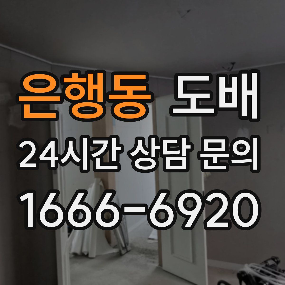 은행동 도배