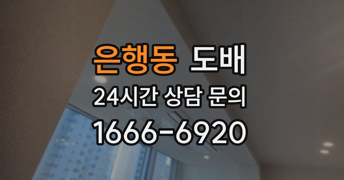 은행동 도배