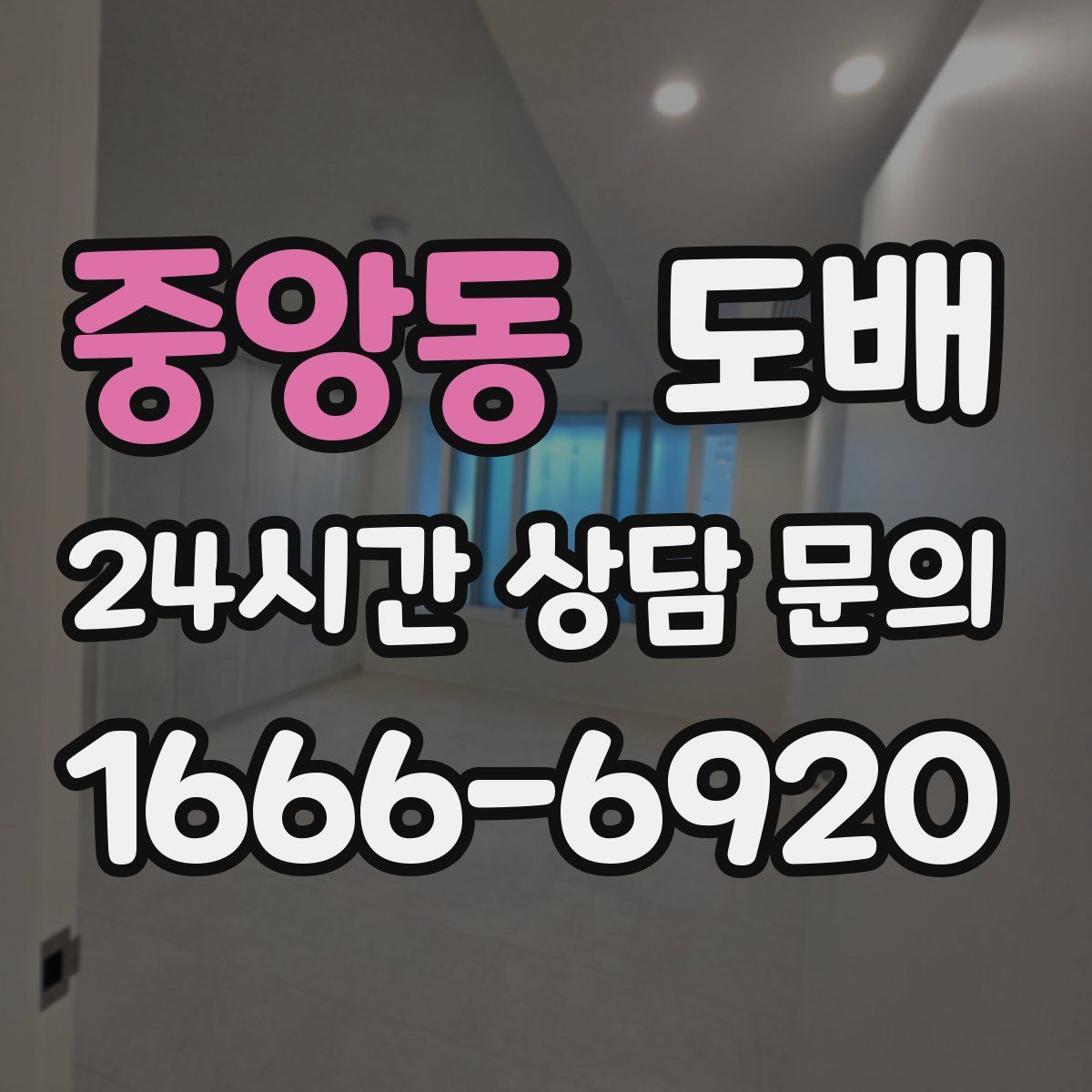 중앙동 도배