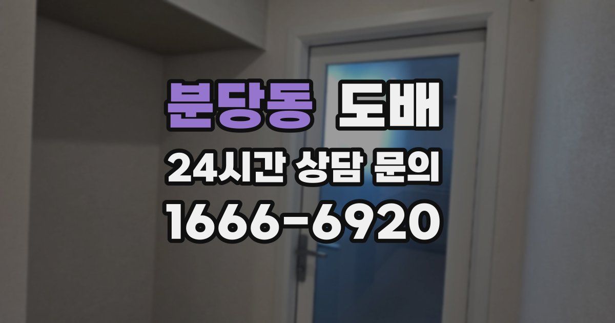 분당동 도배