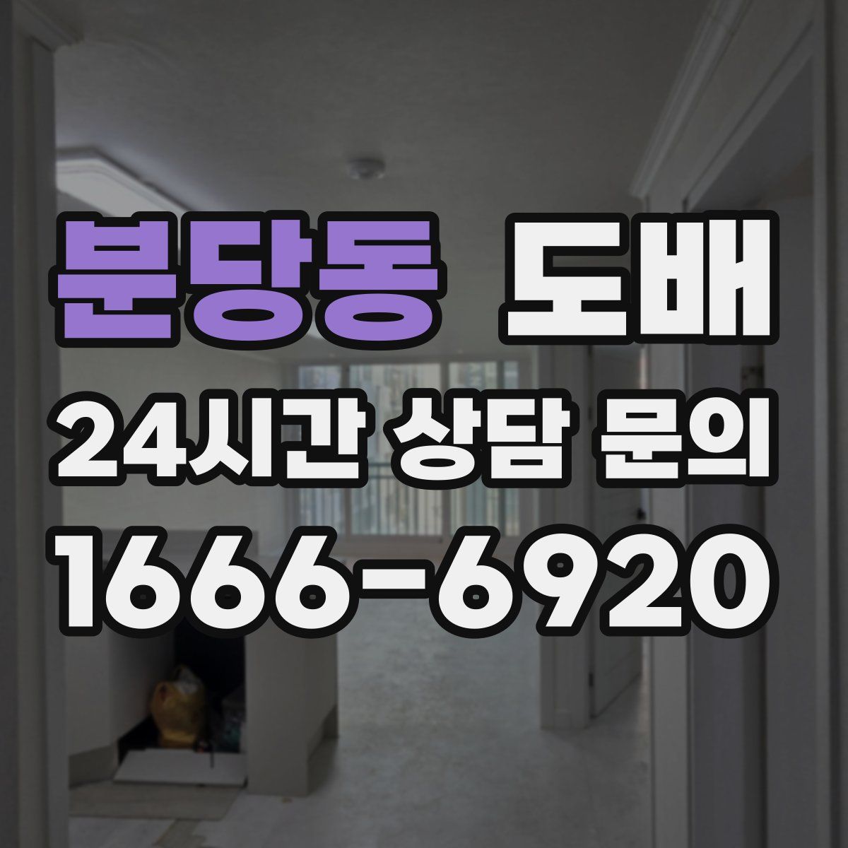 분당동 도배