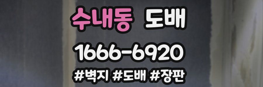 수내동 도배