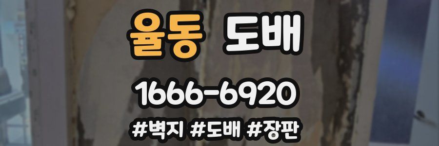 율동 도배