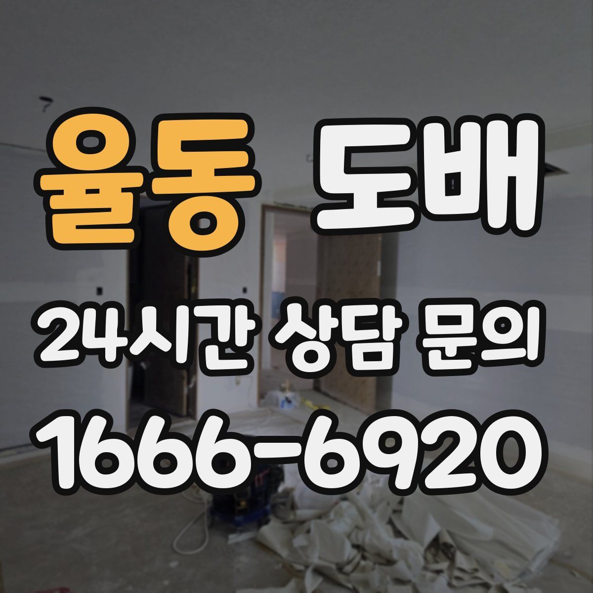 율동 도배