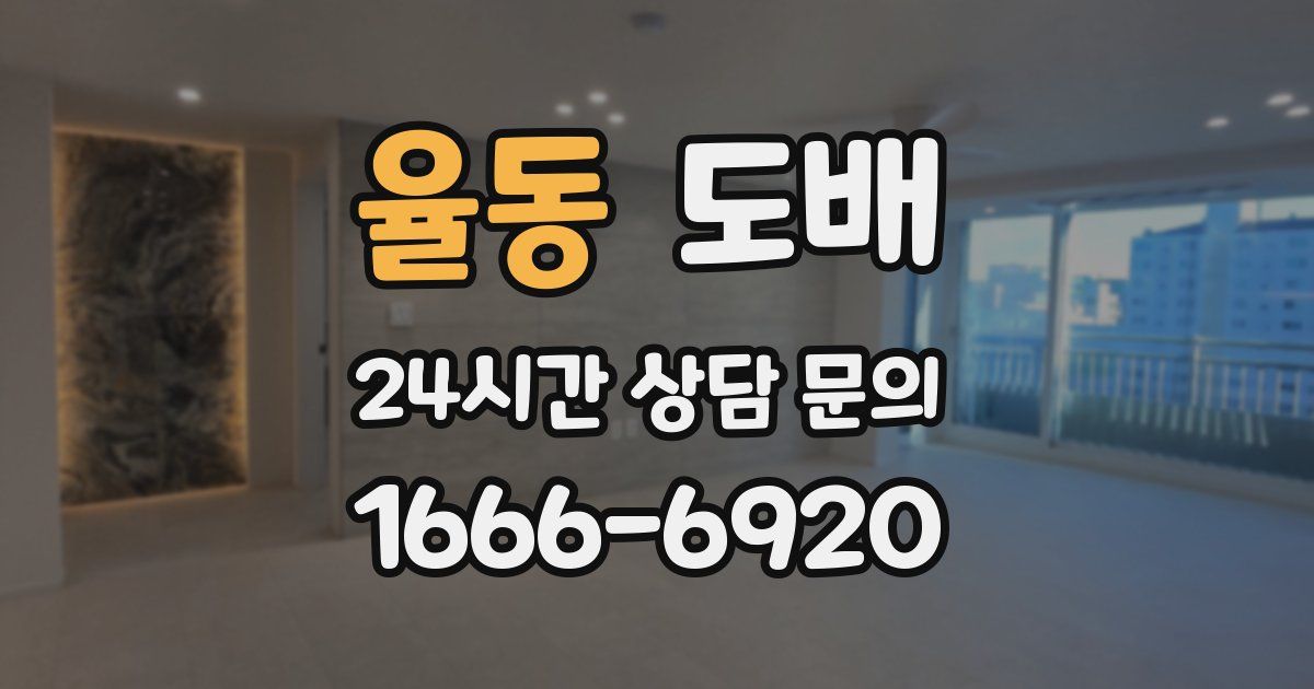 율동 도배