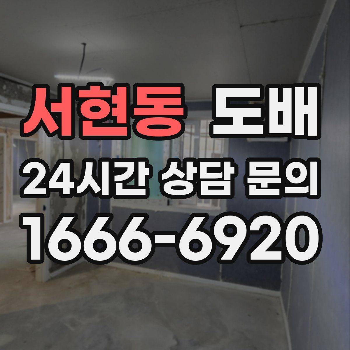 서현동 도배