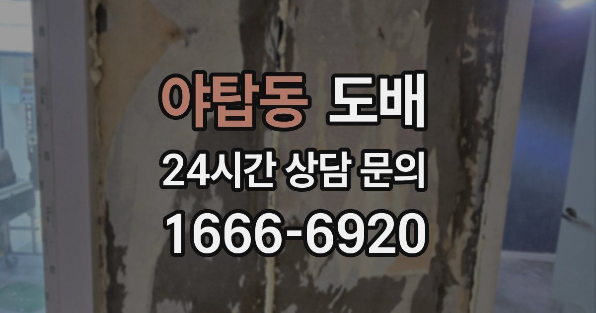 야탑동 도배