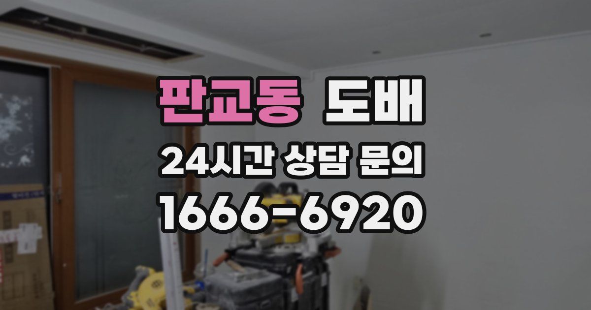 판교동 도배