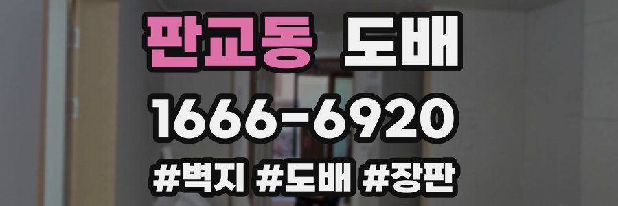 판교동 도배