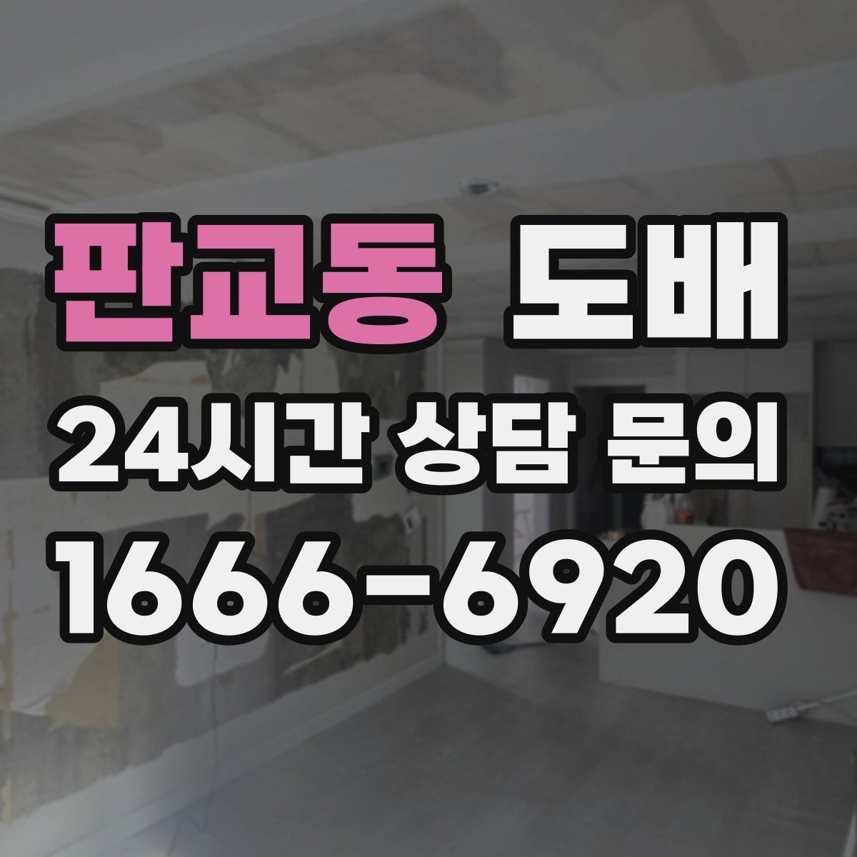 판교동 도배