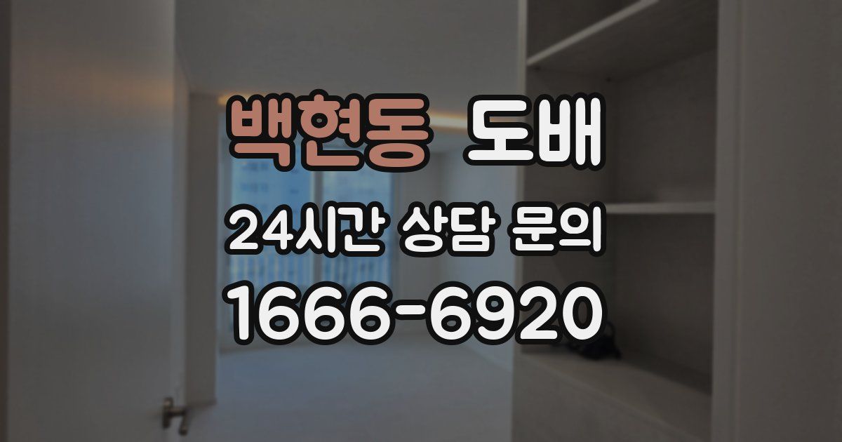 백현동 도배