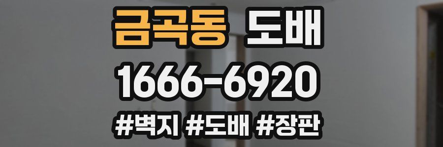 금곡동 도배