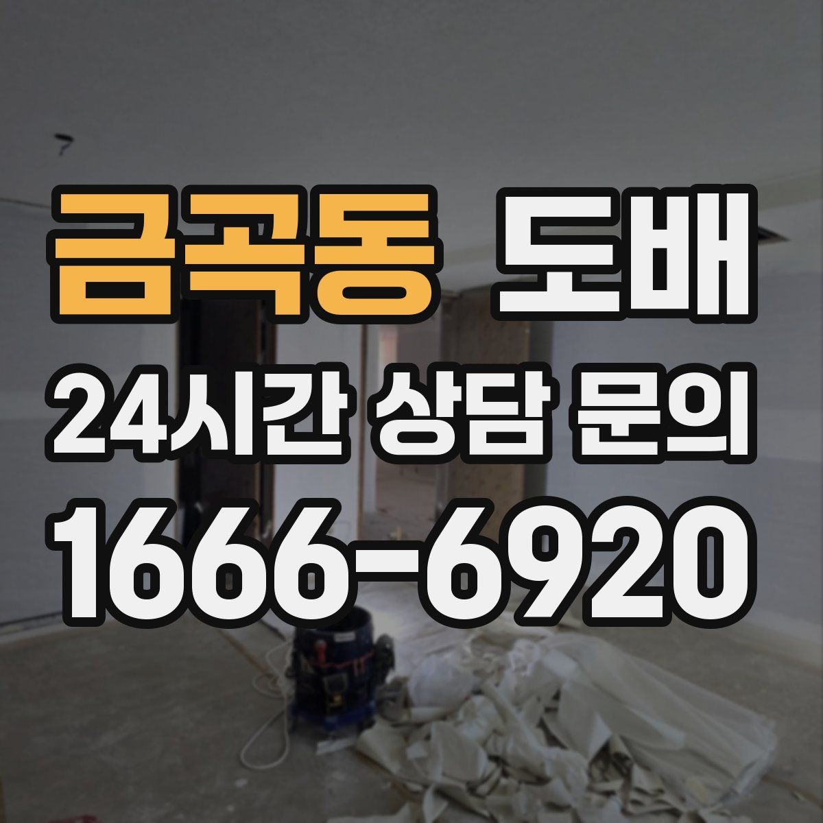 금곡동 도배