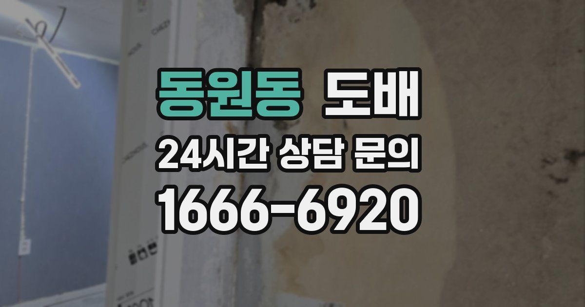동원동 도배