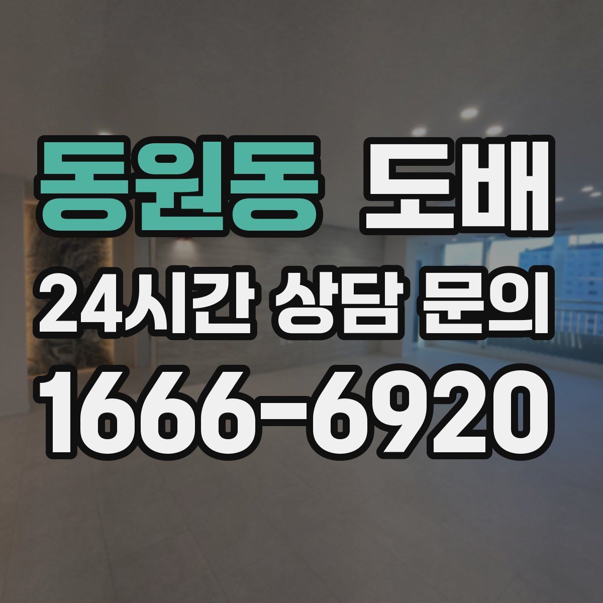 동원동 도배