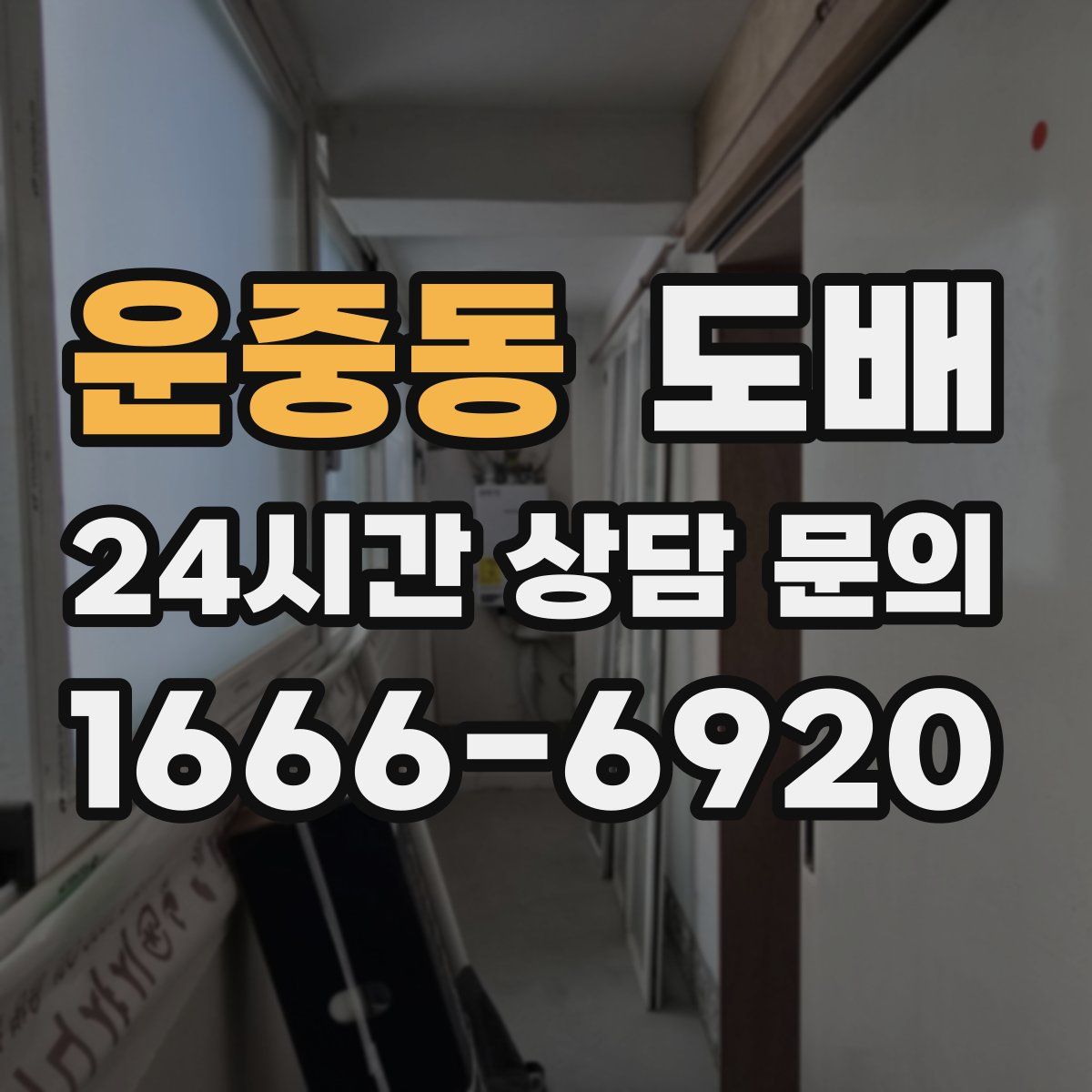 운중동 도배