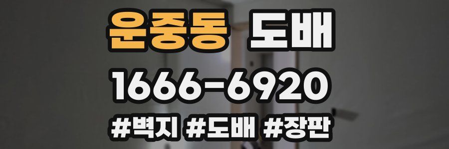 운중동 도배