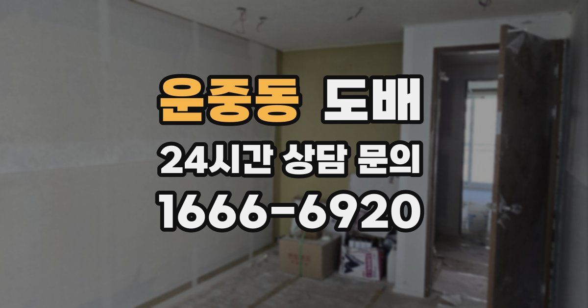 운중동 도배