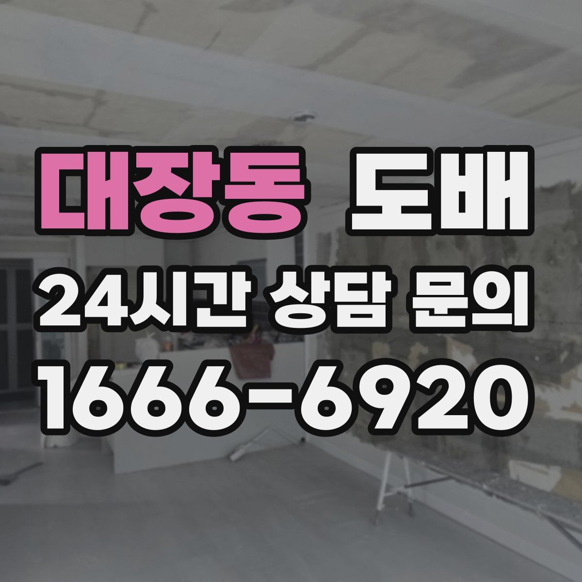 대장동 도배