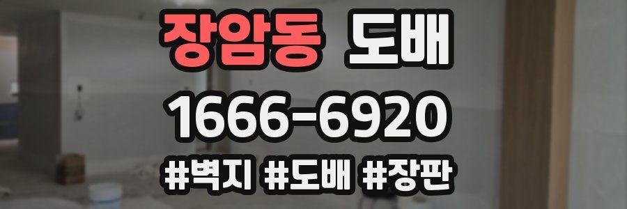 장암동 도배