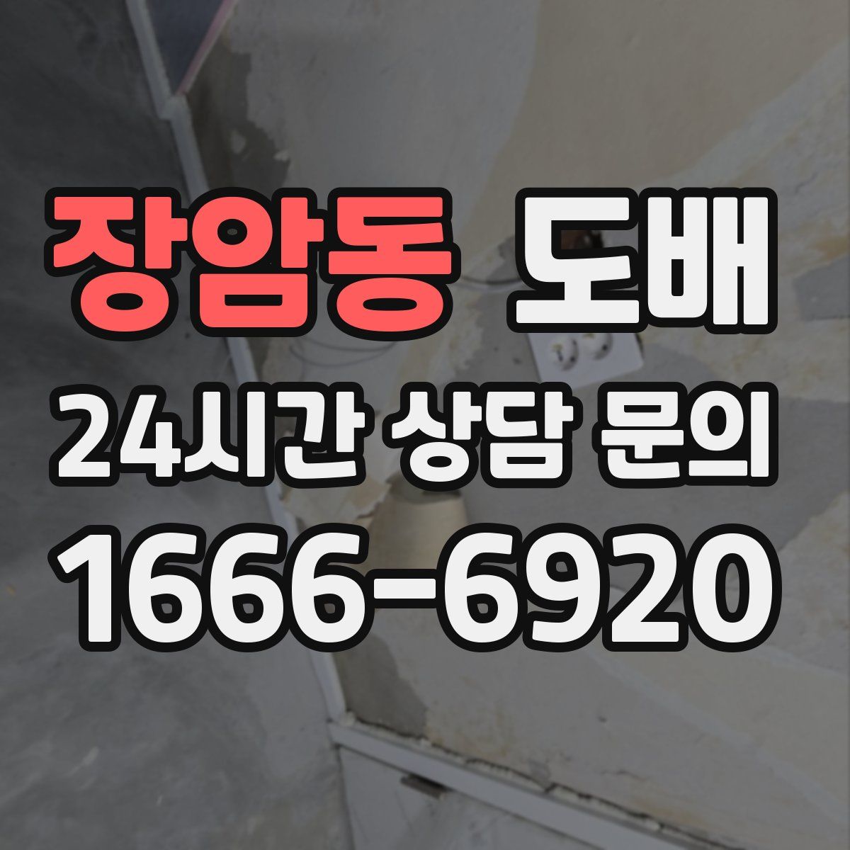 장암동 도배