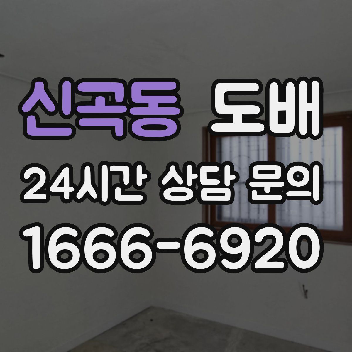 신곡동 도배