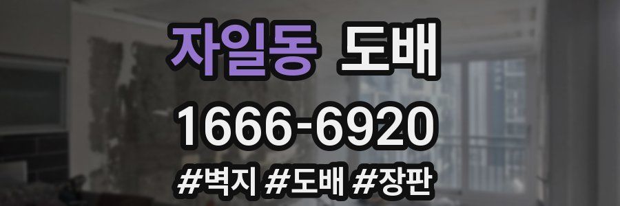 자일동 도배