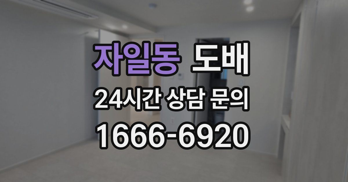 자일동 도배