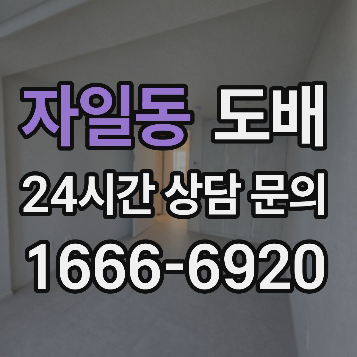 자일동 도배