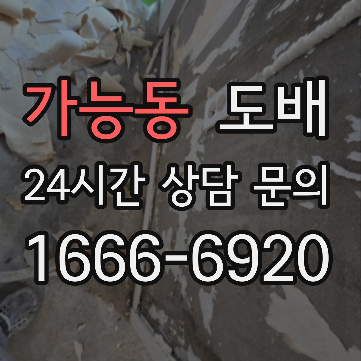 가능동 도배