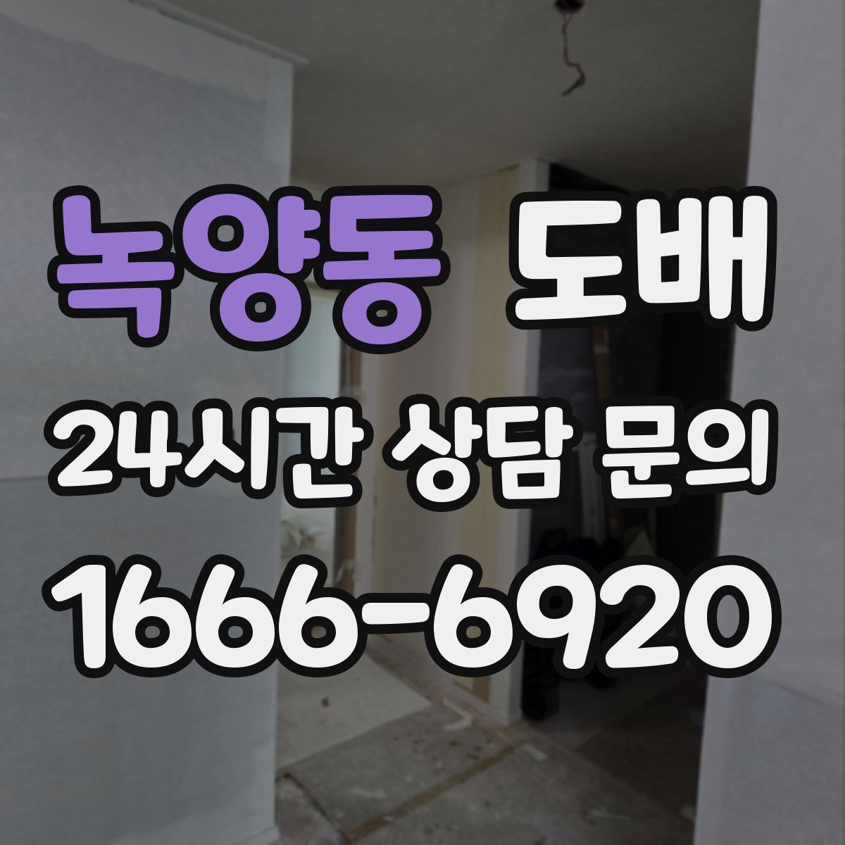 녹양동 도배
