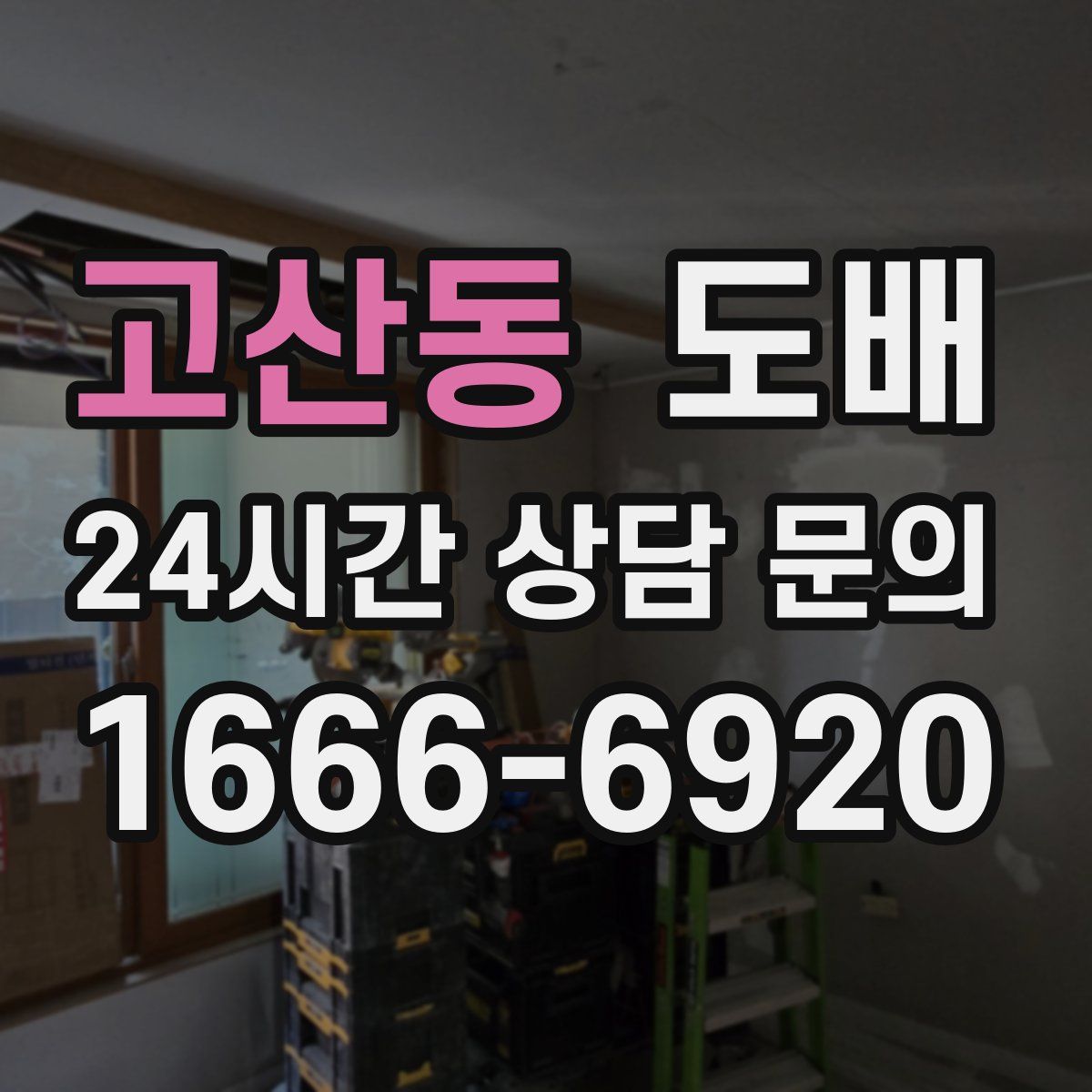 고산동 도배