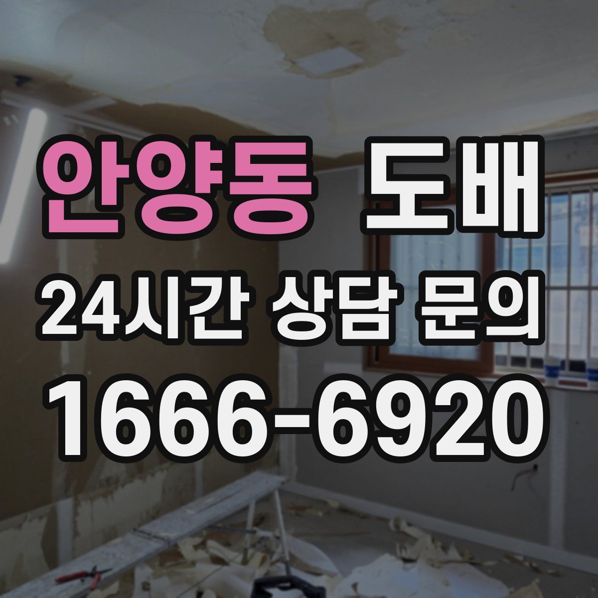 안양동 도배